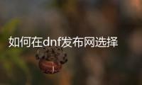 如何在dnf发布网选择副职业