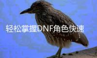 轻松掌握DNF角色快速升级技巧
