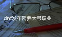 dnf发布网养大号职业的优势与劣势